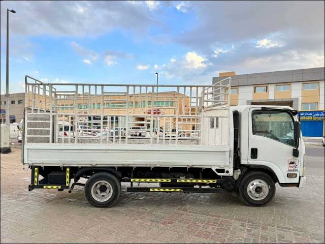 10 Ton Pickup Ras Al Khaimah